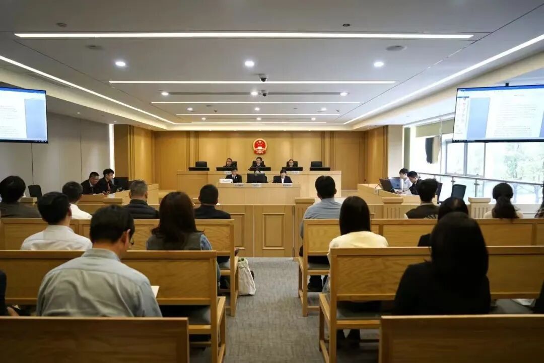 公开庭审.jpg